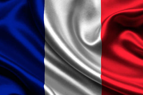 2014上半年《法國最暢銷車車TOP 10》怎麼全都是......