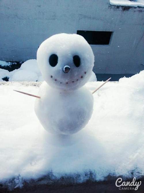 韓國推友曬《萌萌雪人照》生活中處處充滿萌點 韓國推友曬《萌萌雪人照》生活中處處充滿萌點