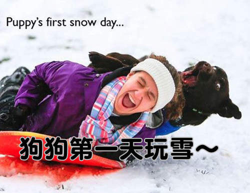 《各種動物的初體驗》討厭～人家是第一次嘛（羞）