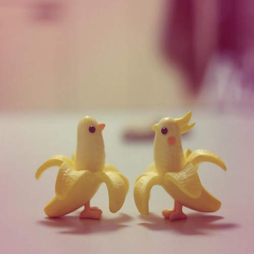 愛鳥家必見的《鸚鵡扭蛋》陸續登場　敲～可愛好玩又實用（？）