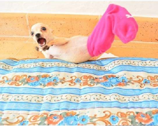 《驚恐一瞬間》農曆七月還沒到啊…… 《驚恐一瞬間》農曆七月還沒到啊……