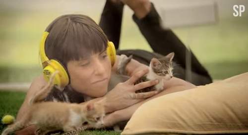 敲可愛紓壓新選擇《小貓療法》讓壓力在肉球間消失無蹤 敲可愛紓壓新選擇《小貓療法》讓壓力在肉球間消失無蹤