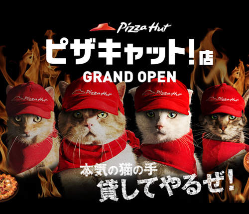 《必勝客貓店員》參上 所以貓店員外送的披薩也是肉球形狀嗎♥ 《必勝客貓店員》參上 所以貓店員外送的披薩也是肉球形狀嗎♥
