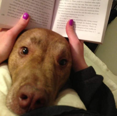 《黏TT的寵物寶貝》人家只是捨不得離開你嘛(´,,•ω•,,)♥ 《黏TT的寵物寶貝》人家只是捨不得離開你嘛(´,,•ω•,,)♥