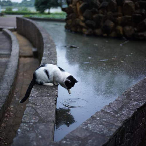 推民曬《今年拍到最棒的攝影作品》你也有想分享的那一張嗎？