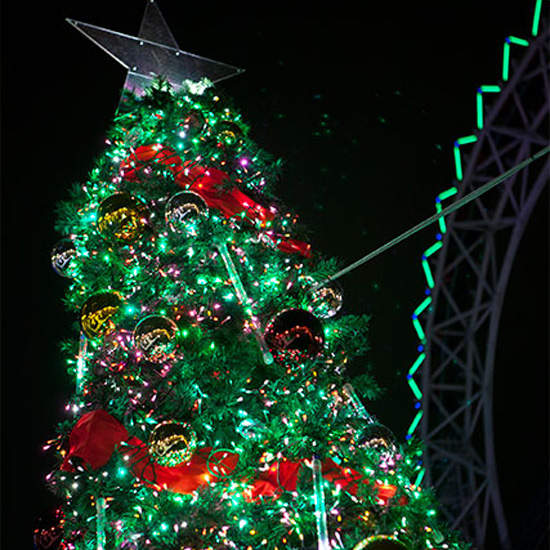 《東京巨蛋聖誕裝飾》令人期待的聖誕節就要來了嗎? 《東京巨蛋聖誕裝飾》令人期待的聖誕節就要來了嗎?