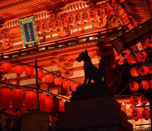 夢幻絕景《伏見稻荷大社本宮祭》數千個燈籠染紅夜晚的神社 夢幻絕景《伏見稻荷大社本宮祭》數千個燈籠染紅夜晚的神社