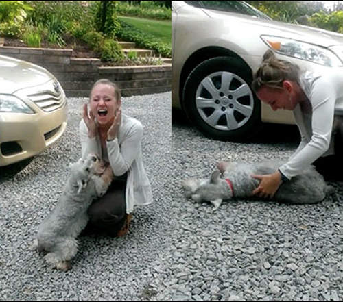 精選《10個感動重逢》狗狗和主人相擁那一刻超感人❤