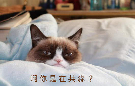 《最爆笑15句夢話》你們到底都夢到什麼啊... 《最爆笑15句夢話》你們到底都夢到什麼啊...