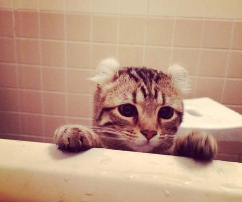 萌翻Twitter「MIRAN醬」和女畫家的生活趣事 萌翻Twitter「MIRAN醬」和女畫家的生活趣事