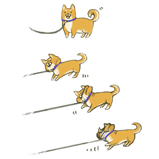 治癒畫家《のじゃ》網路流傳的固執柴犬圖 就是他畫的(♡˙︶˙♡)