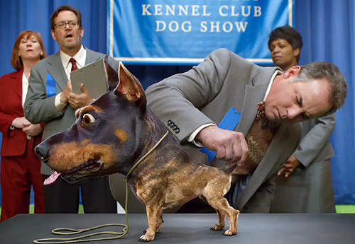 2014年《超級盃車車廣告》這到底是在演哪齣呢？