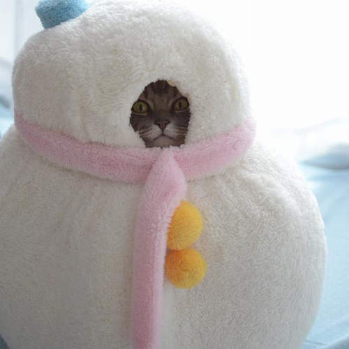 可愛又保暖《貓雪人》寵物床 娛樂主人才是最大功能吧(喂) 可愛又保暖《貓雪人》寵物床 娛樂主人才是最大功能吧(喂)