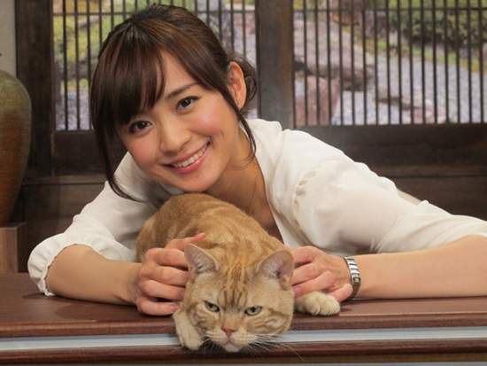 超萌《東京電視台二代看板貓》初登場就氣勢不凡！？