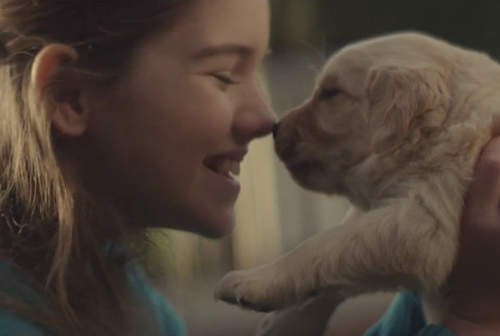 超感人《創意廣告》怎麼能拍得如此催淚(ಥ_ಥ)