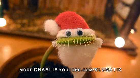 《不要欺負捕蠅草》原來吃了口香糖還會吹泡泡啊...（咦？）