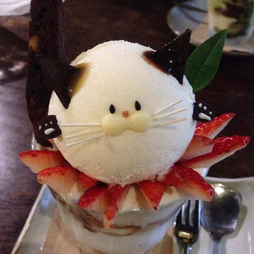 可愛《貓咪聖代》連背面都萌到你下不了湯匙啊啊啊♥ 可愛《貓咪聖代》連背面都萌到你下不了湯匙啊啊啊♥