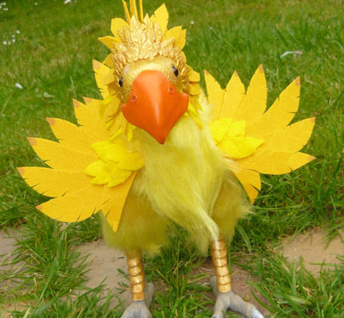 真實版陸行鳥!?他可以載著我跑遍全世界嗎? 真實版陸行鳥!?他可以載著我跑遍全世界嗎?