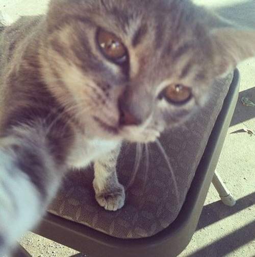 不可不知的《自拍訣竅》掌握這些小重點直接晉級自拍達人 不可不知的《自拍訣竅》掌握這些小重點直接晉級自拍達人