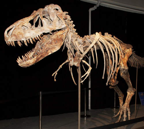 5大《無價失竊品》連恐龍也偷我無言了