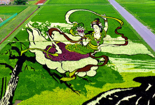 《田畫》農夫的浪漫~田舍館村的「稻田藝術」2014年版 《田畫》農夫的浪漫~田舍館村的「稻田藝術」2014年版