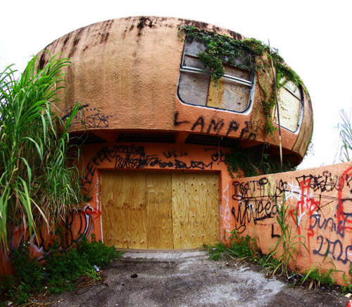 佛羅里達UFO之家 毒品跟異國動物你覺得哪一樣會出現在這裡? 佛羅里達UFO之家 毒品跟異國動物你覺得哪一樣會出現在這裡?