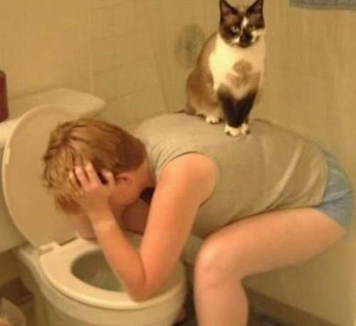 養狗養貓以後 上廁所再也不孤單 養狗養貓以後 上廁所再也不孤單