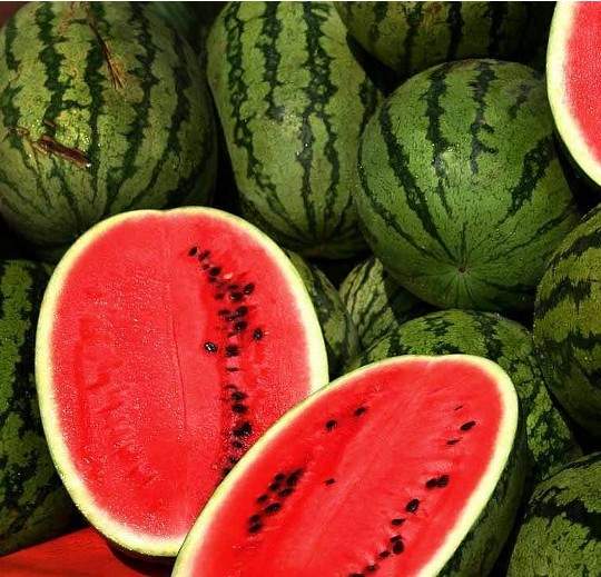 《西瓜新切法》切個西瓜而已，需要這麼辛苦嗎？！