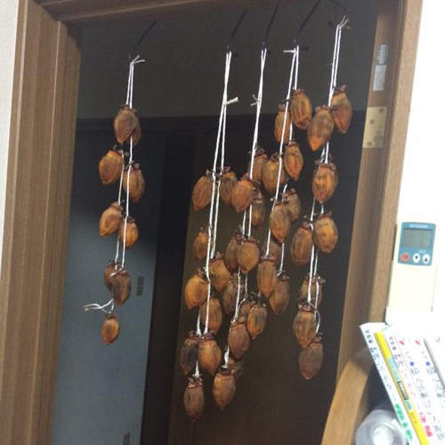 《返鄉常有的事》誰准你們在我房間曬柿子的～～～（苦笑）