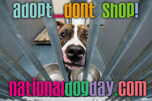 《國際狗狗日》宣揚「認養代替購買」的概念 《國際狗狗日》宣揚「認養代替購買」的概念