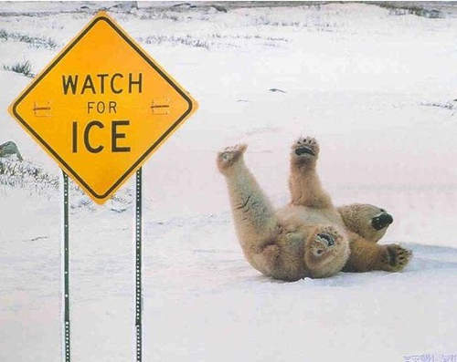 超帥5種《雪地跌倒方式》雪國人就是不一樣 超帥5種《雪地跌倒方式》雪國人就是不一樣