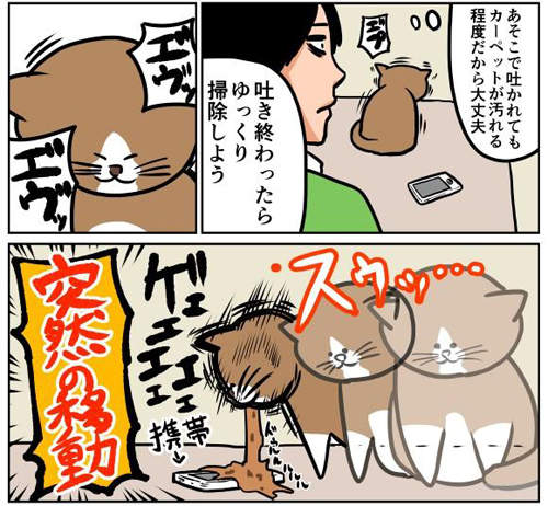 《貓的日常生活網漫》真實重現貓奴們水深火熱的生活www