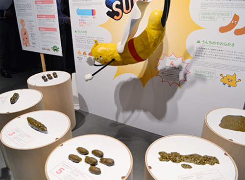 《超現代便便展》體驗身為便便的感受 共創便便與人類的未來？