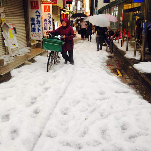 在東京看流冰?這六月雪是有什麼冤情呀... 在東京看流冰?這六月雪是有什麼冤情呀...