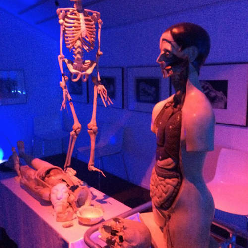 話題《醫療器具展》有如闖入深夜醫院探險的詭異氛圍… 話題《醫療器具展》有如闖入深夜醫院探險的詭異氛圍…