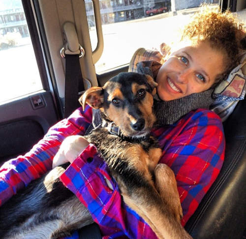 《冬奧幸運流浪狗》比起獎牌我更想帶你回家(感動) 《冬奧幸運流浪狗》比起獎牌我更想帶你回家(感動)