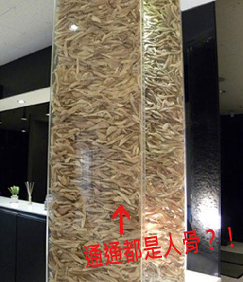 整形診所裡的《人骨柱》怎麼感覺有點陰森...... 整形診所裡的《人骨柱》怎麼感覺有點陰森......