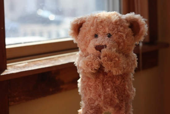 超感人《泰迪熊與小寶寶的初見面》影片 好想回家抱著娃娃大哭