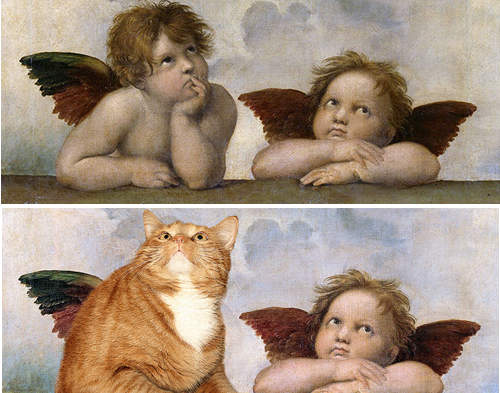 《肥貓入畫》帶來的新鮮感 你喜歡嗎? 《肥貓入畫》帶來的新鮮感 你喜歡嗎?