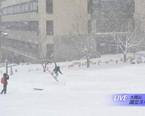 大學校園裡的滑雪場營業開始?關東大雪帶來的奇景再+1ww 大學校園裡的滑雪場營業開始?關東大雪帶來的奇景再+1ww