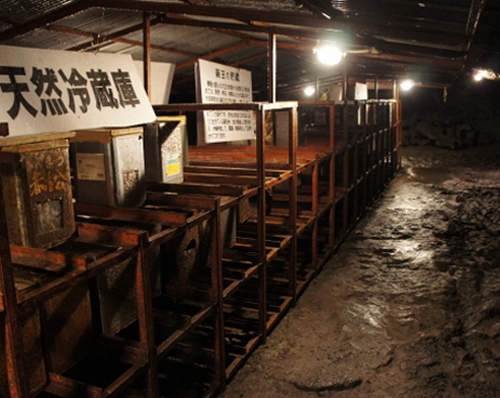 《富士山樹海》夏季旅遊平均氣溫只剩3度~好清涼~ 《富士山樹海》夏季旅遊平均氣溫只剩3度~好清涼~