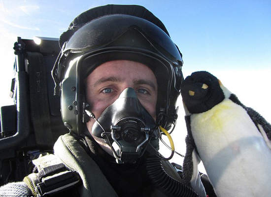 《帶企鵝出任務》我們都需要簡單的治癒