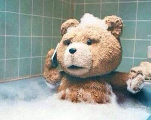 《耳朵錯位大賽》你們的耳朵到底在哪裡啦www 《耳朵錯位大賽》你們的耳朵到底在哪裡啦www