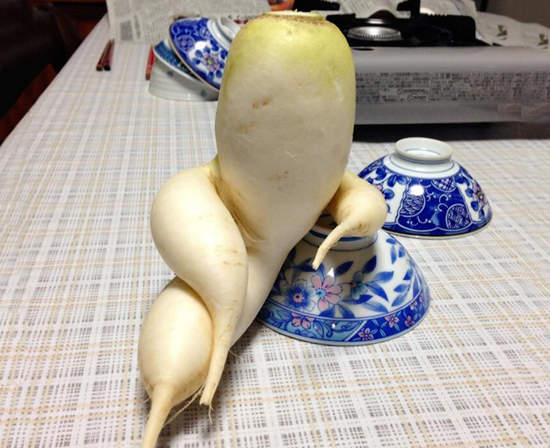 《異型蔬果》你們也長得太特別了吧