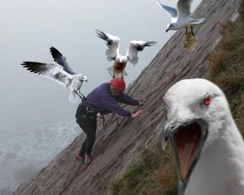 《Twitter人氣照片》憋笑是很辛苦滴www