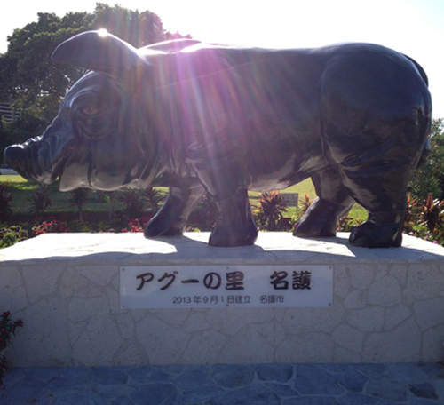 沖繩豬雕像的蛋蛋 因太過露出而造成當地女性的困擾 沖繩豬雕像的蛋蛋 因太過露出而造成當地女性的困擾