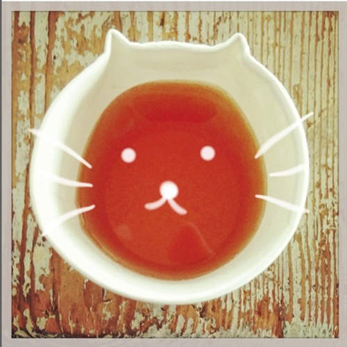 自製《貓咪紙杯》這樣就不怕別人拿錯杯子啦♪ 自製《貓咪紙杯》這樣就不怕別人拿錯杯子啦♪