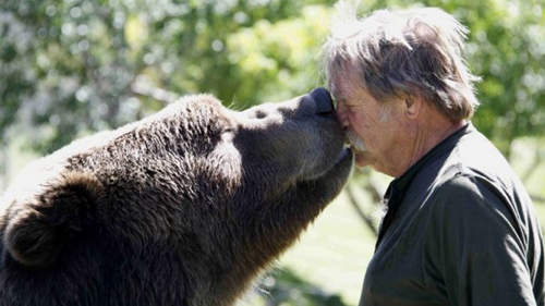 美國《棕熊爺爺》原來牠們也都是電影明星喔~ 美國《棕熊爺爺》原來牠們也都是電影明星喔~