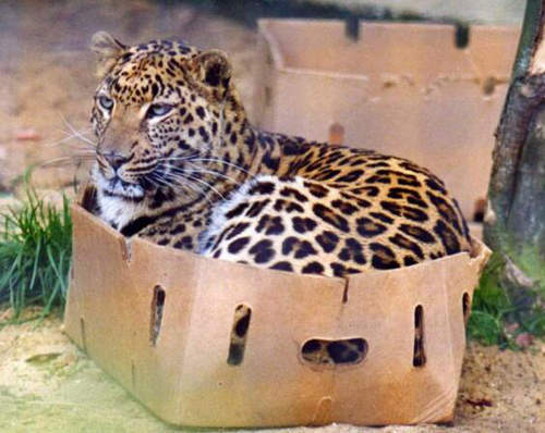 輕易《惹火另一半的方法TOP10》這樣做準沒錯（奸笑）