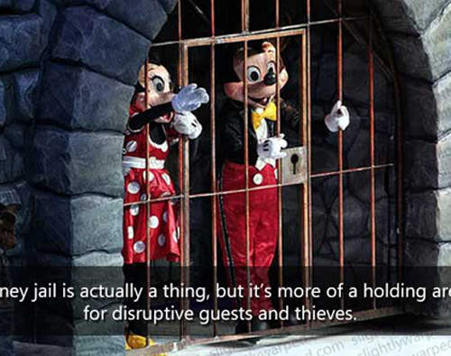 迪士尼迷口耳相傳的《迪士尼樂園》隱藏秘密